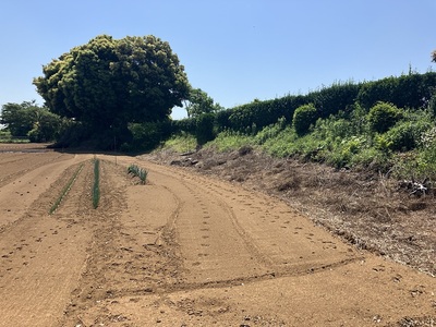 廓の北西端からの西側の土塁