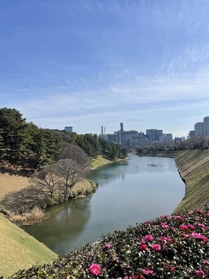 桜田濠