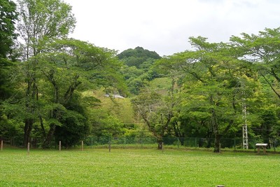 長篠城本丸より望む鳶ヶ巣山