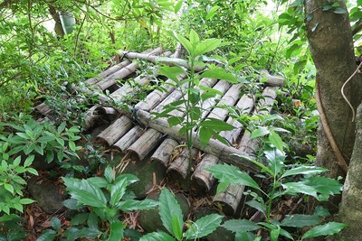 川路城 お鷹井戸