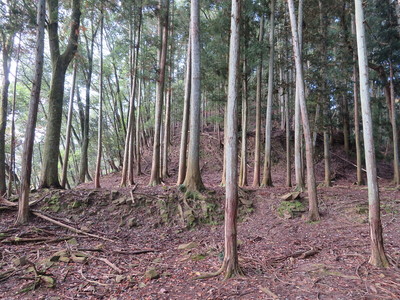 三ノ丸石垣とニノ丸切岸