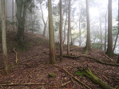 三ノ丸北側土塁・石垣