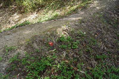 一の郭と二の郭をつなぐ土橋