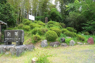 新城城 南東の土塁