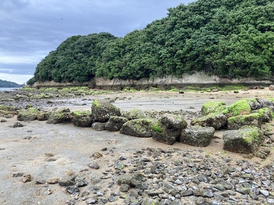 「海割れ」時、露出石垣跡