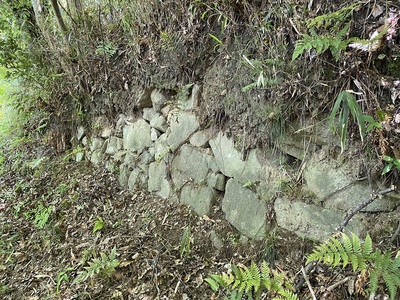 Ⅰ郭(高櫓郭)北下の石垣