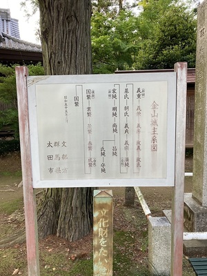 金山城主系図