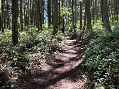 尾根通り