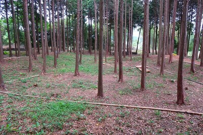 大野田城 城址風景