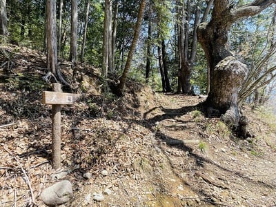 南沢口からの登城口