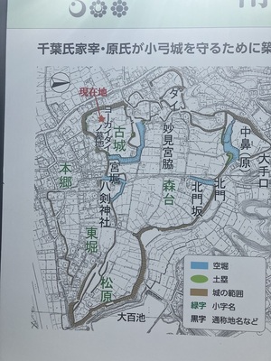 案内板の縄張り図