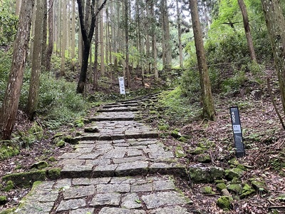 本丸天守まであと400m地点にて　登城道の様子