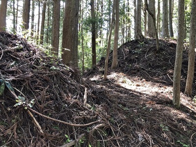 II郭南の二重堀切一本目