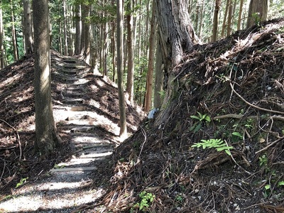 Ⅱ郭南側二重堀切二本目