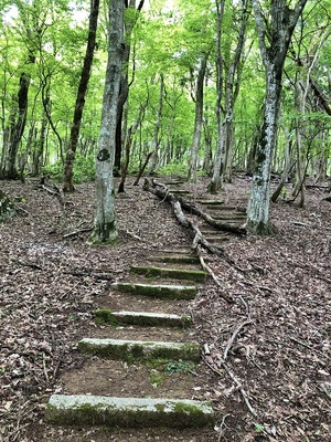 比婆神社表参道