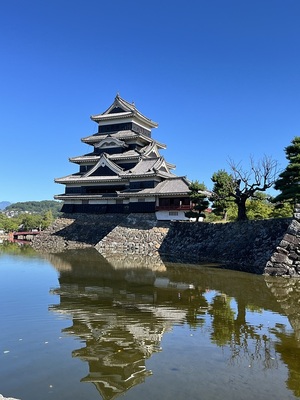 天守閣(黒門側内堀より)