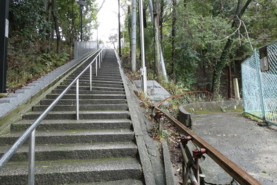 旭山神社参道石段途中の遊歩道入口