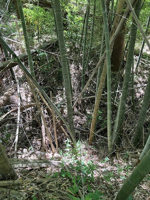 東側郭南端の空堀