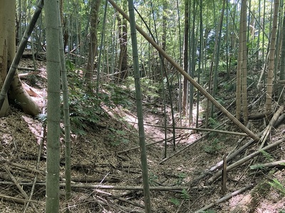 西側郭の妙見神社裏の空堀