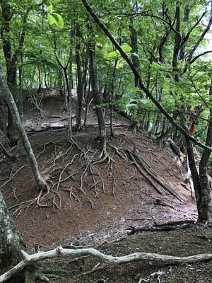 山頂郭手前の堀切と小曲輪