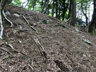 主郭北側切岸の石積み