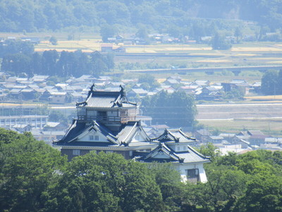 天守遠景（南西・戌山城から）