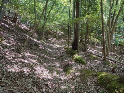 彦根43カードから城跡に向けての登山道