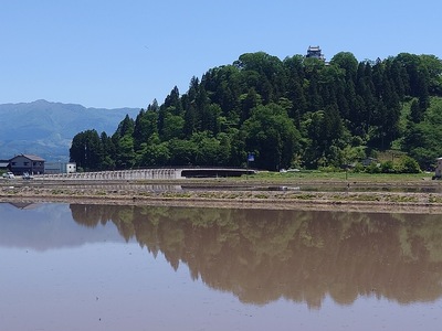 田植え前と天守