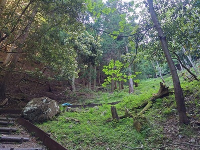 城跡への登山道