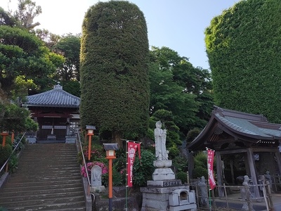 真蔵院