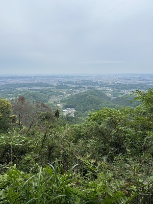 本丸下からの関東平野