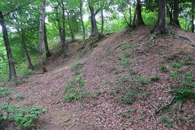 茶臼山城 主郭西の帯曲輪から見た主郭