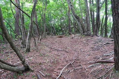 茶臼山城 南尾根の先の平坦地