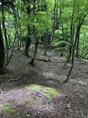 主郭南側尾根上の郭