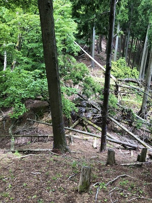 主郭北東三重堀切（櫓台跡から）