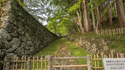 苔むす参道