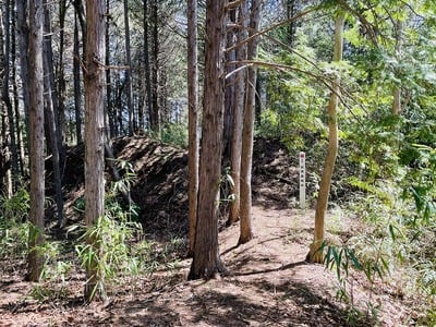 松岡南城　土橋と標柱