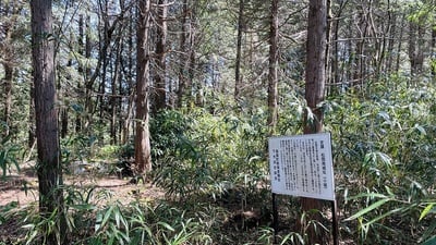 松岡南城　主郭