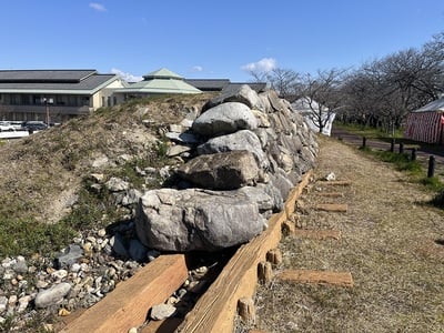 発掘された清洲城石垣の側面