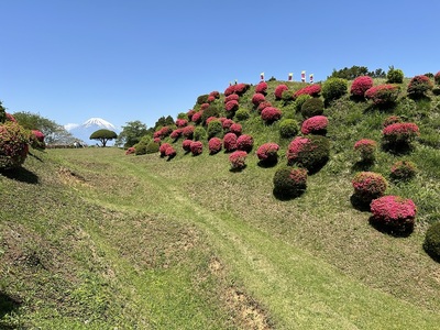 西ノ丸（右）と西櫓（左）の間の障子堀（と富士山）