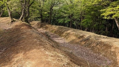 北虎口郭北側の横堀