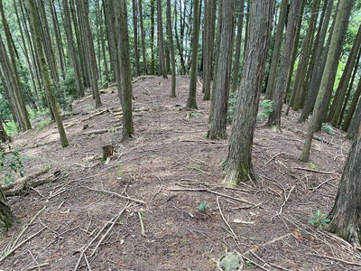 北東の削平地（二の丸跡）