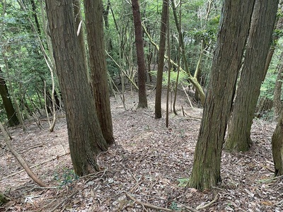 主郭南東側の削平地