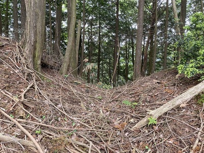 主郭と中郭間の堀切