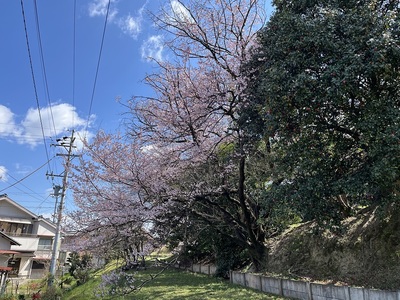 城北側の切岸