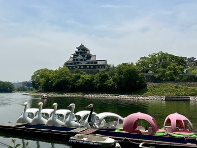 対岸からの天守