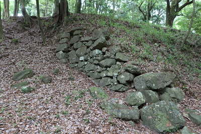 二の丸西面石垣