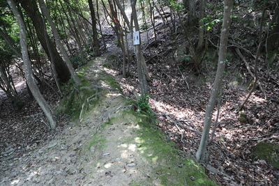 東側郭下の土橋