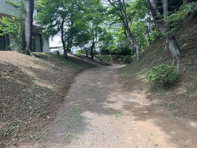 道路になっている城之内曲輪脇の空掘