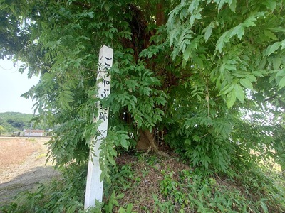 ごうやぶ遺跡